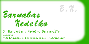 barnabas nedelko business card